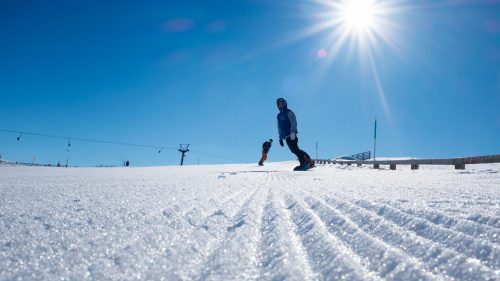 Snowboarder at Cairngorm Mountain