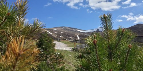 Guided walk at Cairngorm Mountain