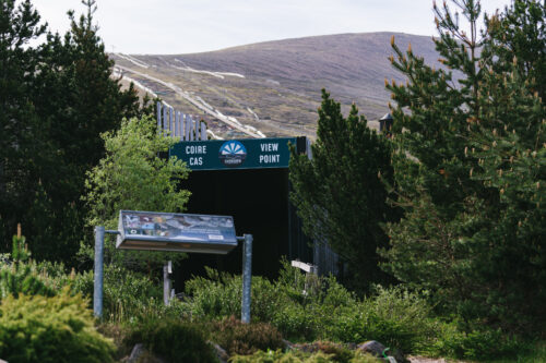 Mountain Garden