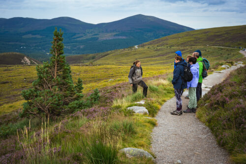 Guided Walk