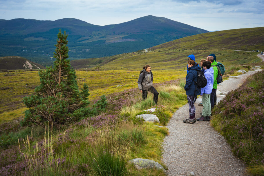 Guided Walk