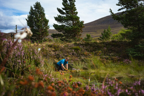 Ranger on Cairngorm Mountain