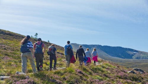 Guided Walk on Cairngorm Mountain