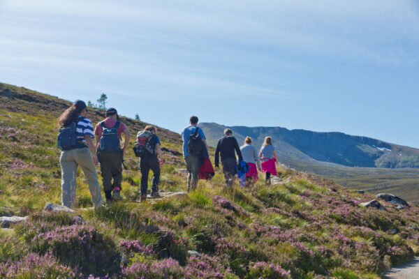 Guided Walk on Cairngorm Mountain