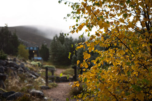 Autumn in the Mountain Garden