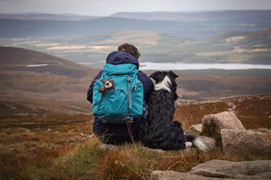 Dog Walking on Cairngorm Mountain