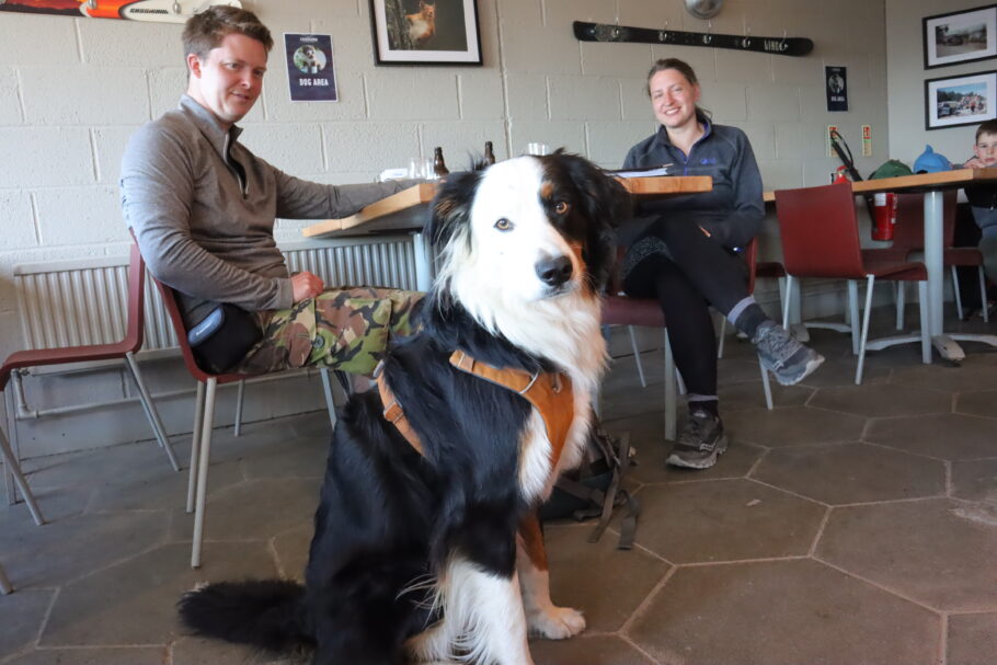 Dog in Cairngorm Cafe