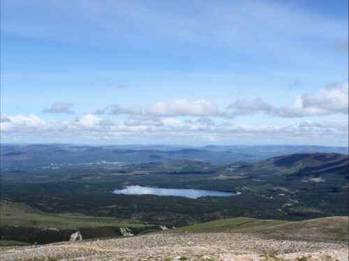 Windy Ridge Walk View