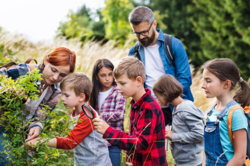 School Trip in Garden