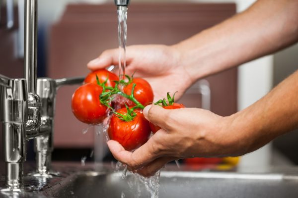 Kitchen porter cleaning tomatoes