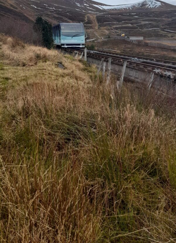 Mountain Railway on tracks