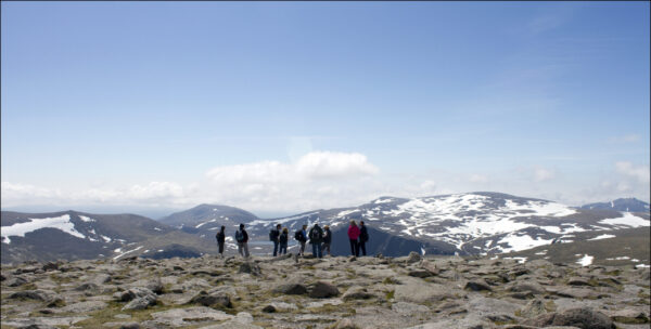 Cairn Gorm summit