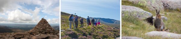 Guided Walks at Cairngorm Mountain