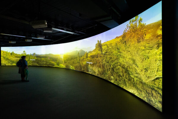Ptarmigan exhibition screen