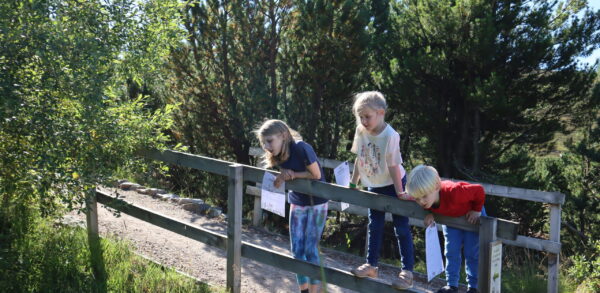 Children looking at Mountain Garden