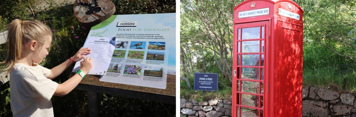 Mountain garden quiz and phone box at Cairngorm Mountain