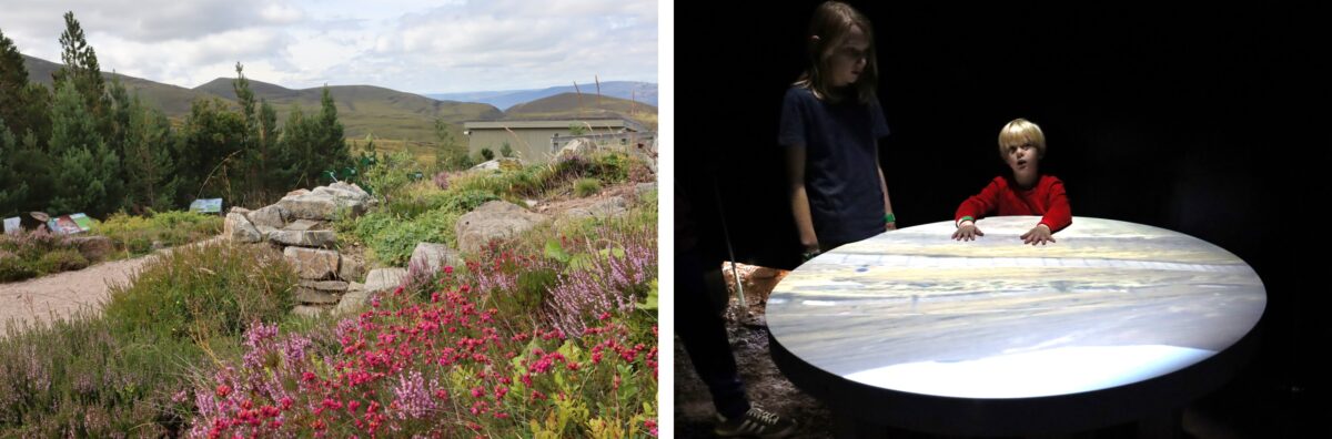 Mountain Garden at Cairngorm Mountain