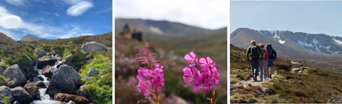 Guided walks at Cairngorm Mountain