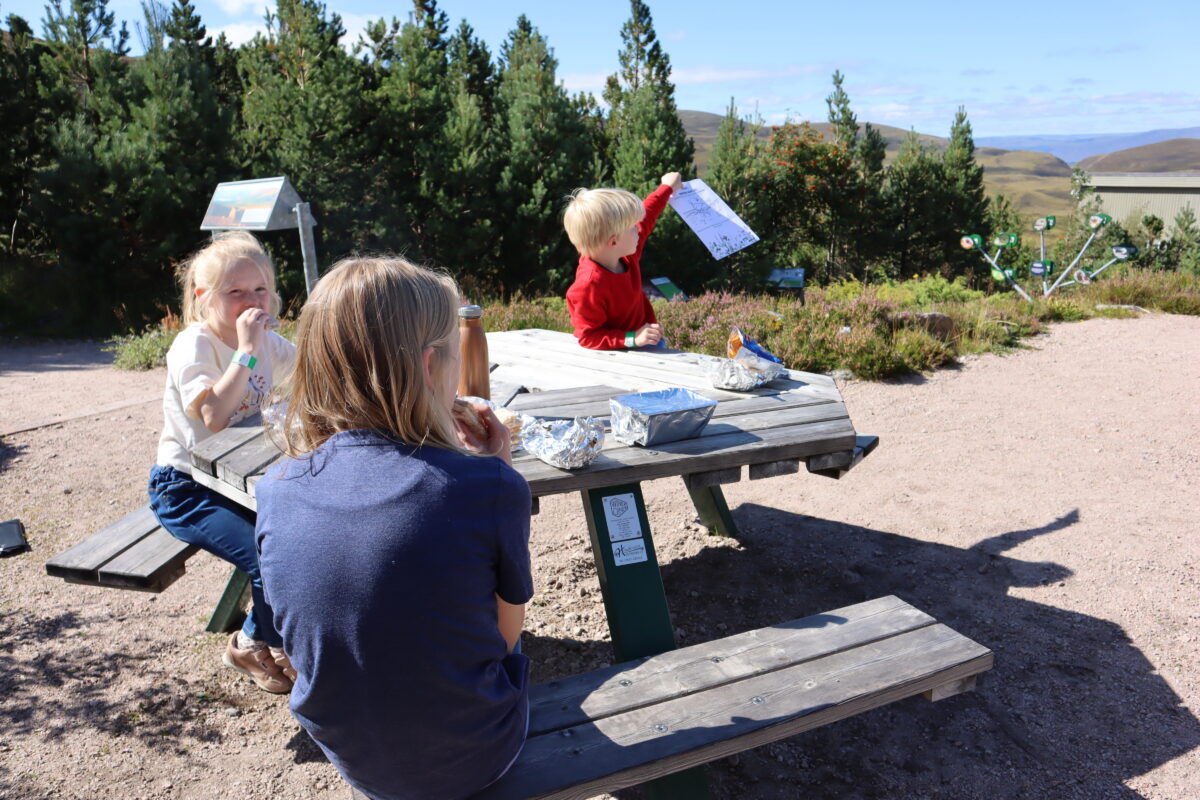 Children with a picnic in the mountain garden