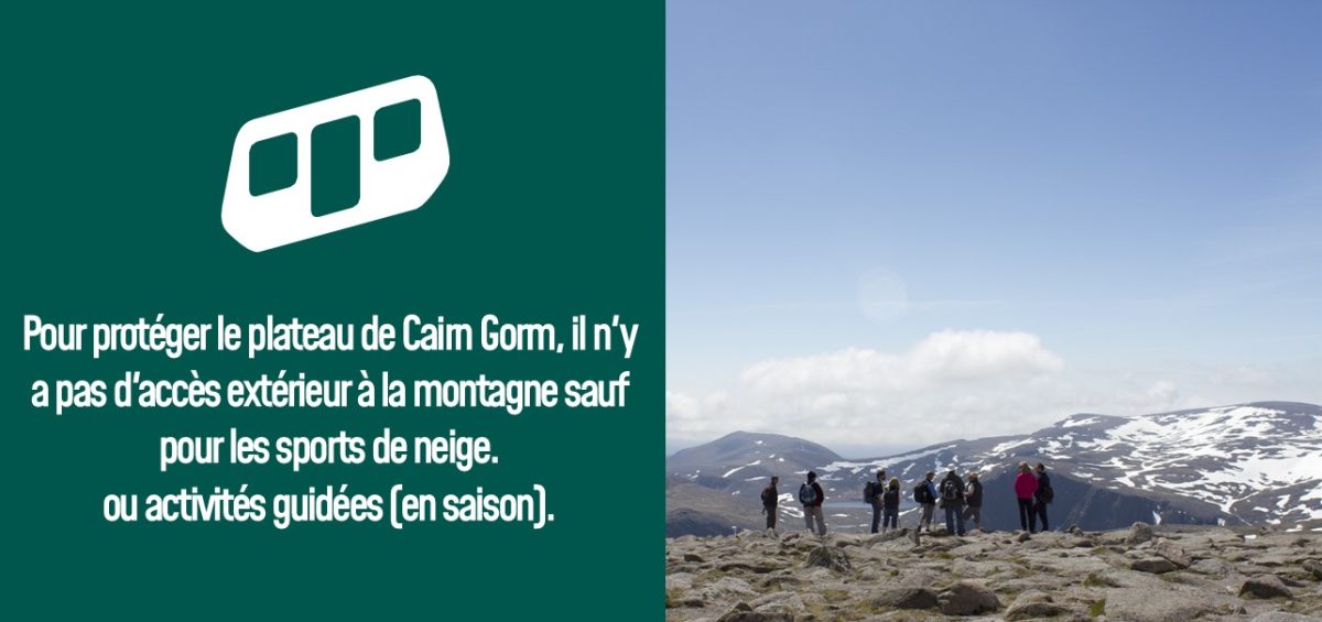Protecting the Cairn Gorm Plateau in French.