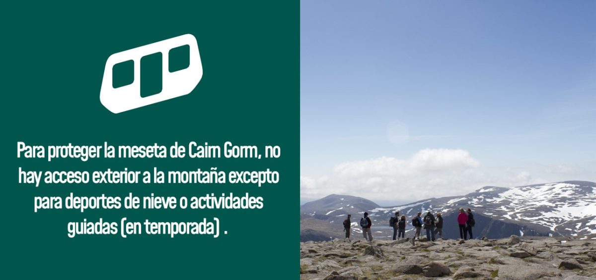 Protecting the Cairn Gorm plateau in Spanish
