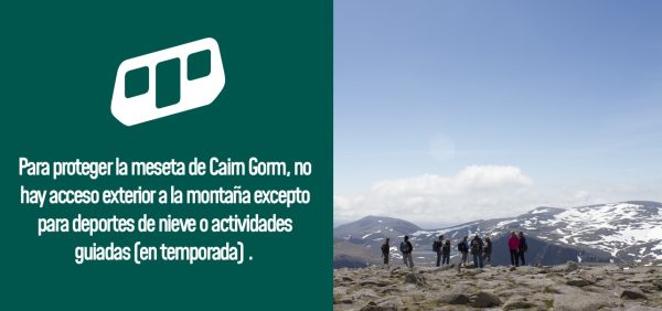 Protecting the Cairn Gorm plateau in Spanish