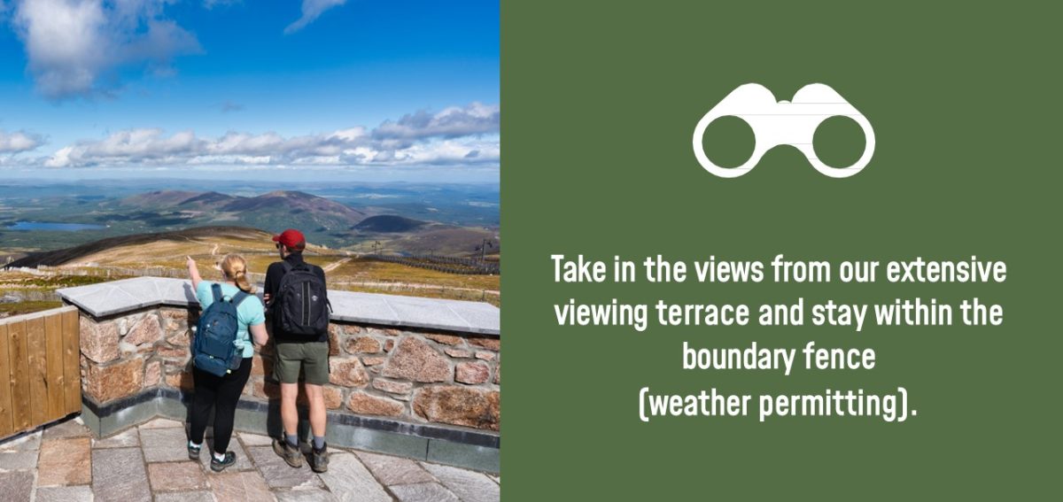 Terrace boundary at Ptarmigan