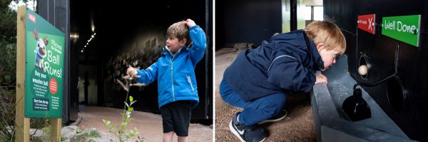 Ball Runs at Cairngorm Mountain