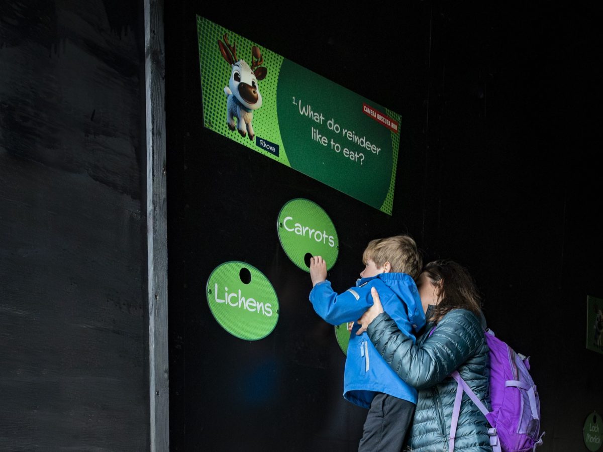Parent and child at ball run at Cairngorm Mountain